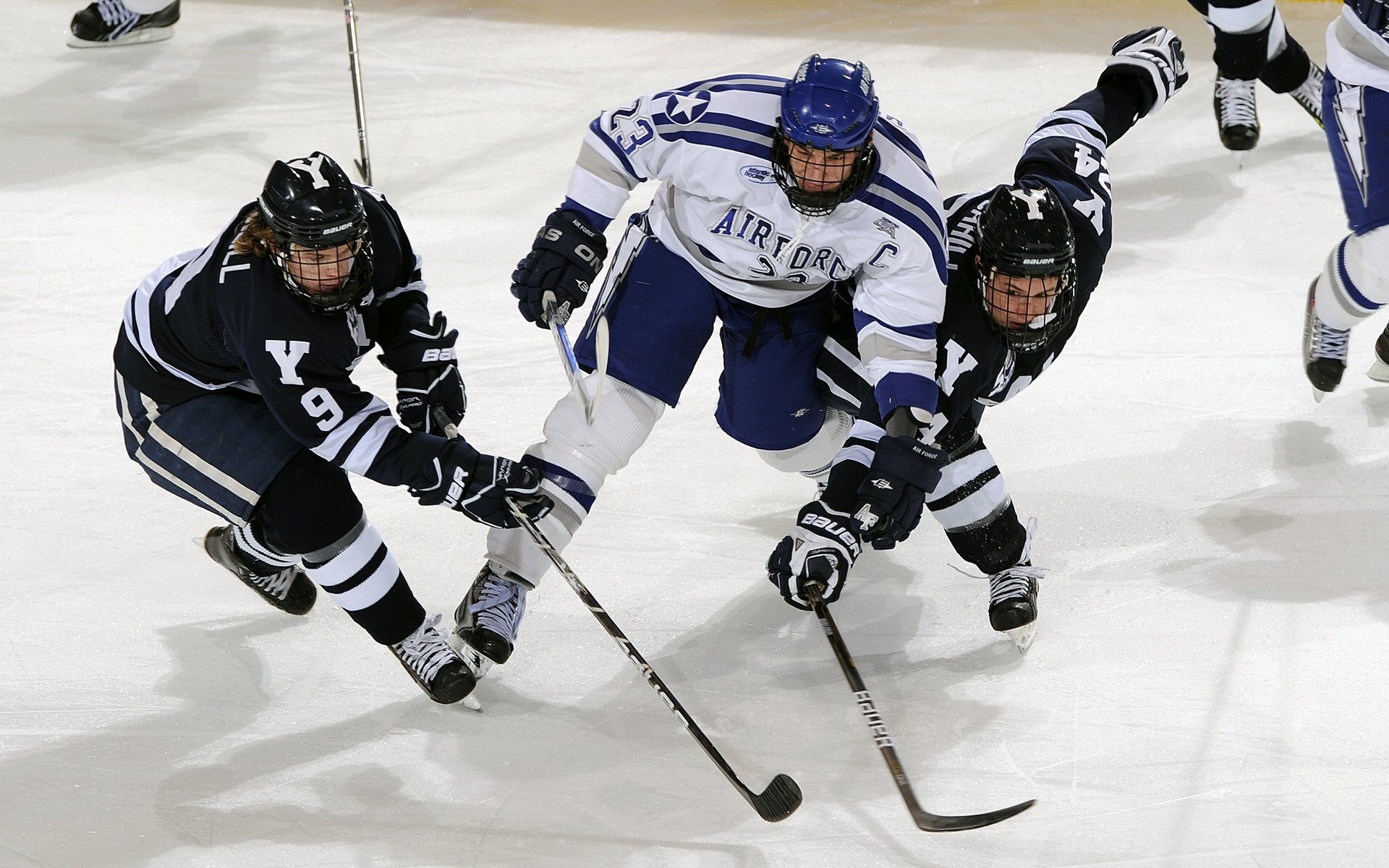 哈兰德的绝杀背后：1.2亿身价与凌晨四点的训练秘密，哈兰德最新